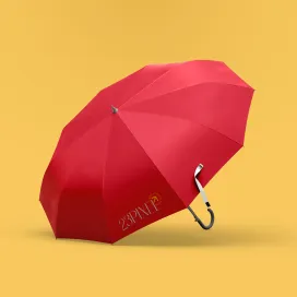 Umbrella 2